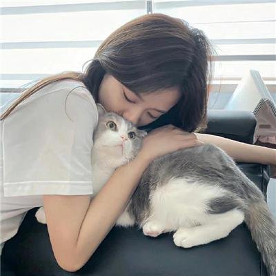 猪猪人：受困火腿中